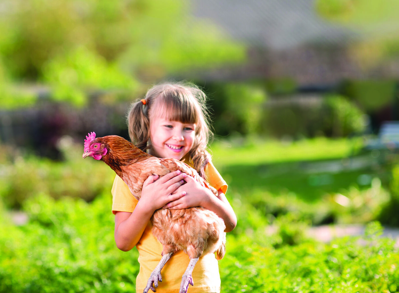 A girl holding her hen